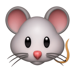 chuột rat