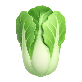 cải thảo Chinese cabbage