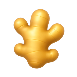 gừng ginger