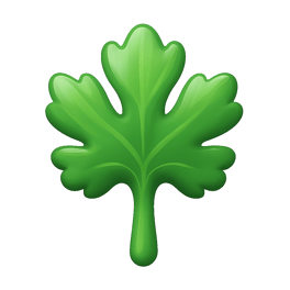 ngò cilantro