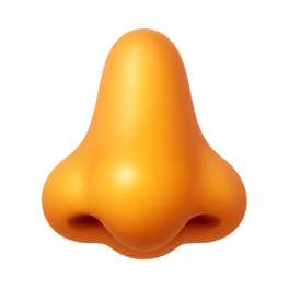 mũi nose