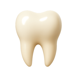 răng tooth