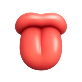 lưỡi tongue