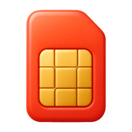SIM SIM card