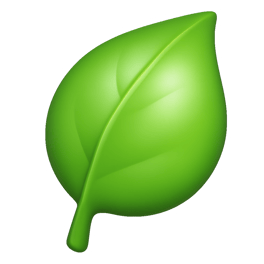 lá leaf
