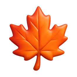 cây phong pohon maple