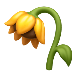 héo เหี่ยว