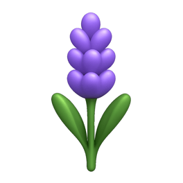 hoa oải hương ลาเวนเดอร์