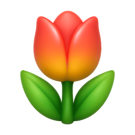hoa tulip tulip