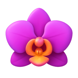 hoa lan orchid