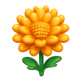 hoa cúc chrysanthemum