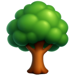 cây sồi oak
