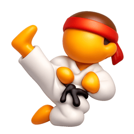 taekwondo taekwondo