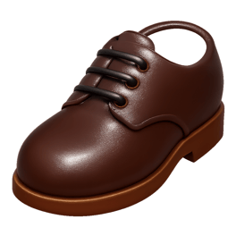 giày da leather shoes