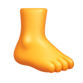 mắt cá chân ankle