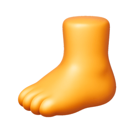 bàn chân foot