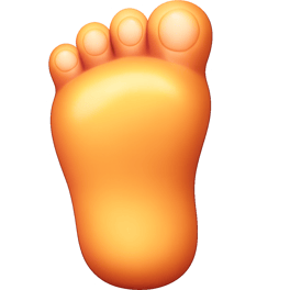 mu bàn chân instep
