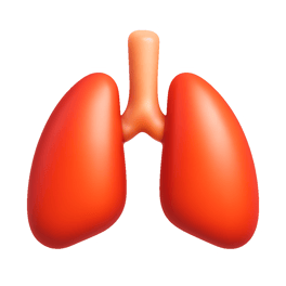 phổi lung
