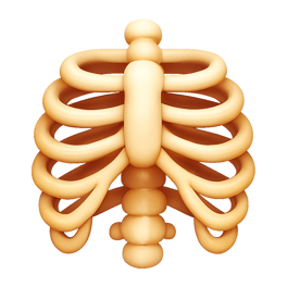 lồng ngực chest cavity