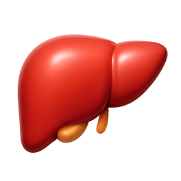 gan liver