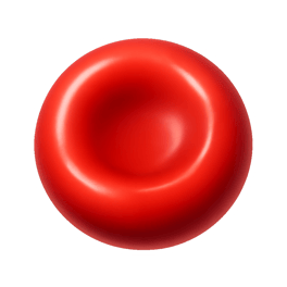 hồng cầu red blood cell