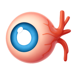 võng mạc retina
