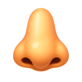 lỗ mũi nostril