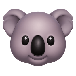 gấu túi koala