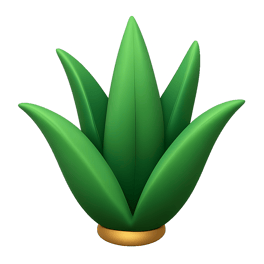 cây thùa agave