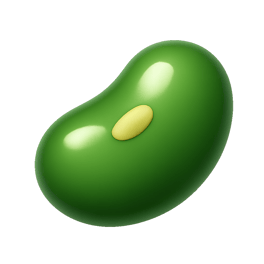 các loại đậu bean