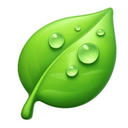 sương dew