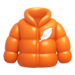 áo lông vũ down jacket