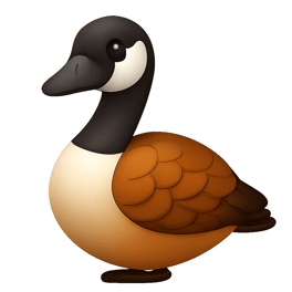 ngỗng trời wild goose