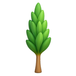 cây dương poplar