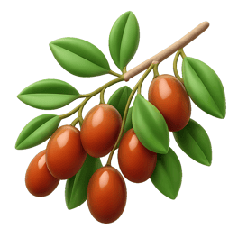 táo jujube