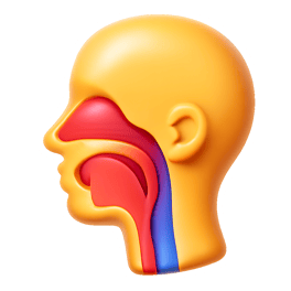 yết hầu throat