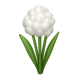 hoa lau reed flower