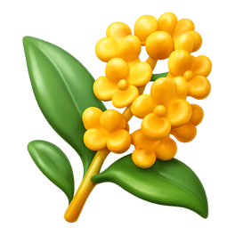 hoa quế osmanthus