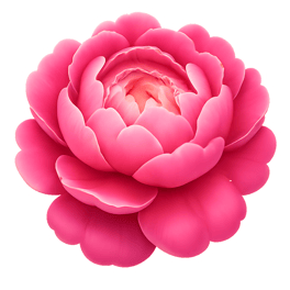 mẫu đơn peony