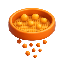 rây sieve