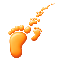 dấu chân footprint