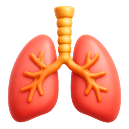 khí quản trachea