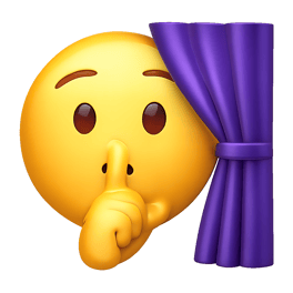 che giấu to conceal