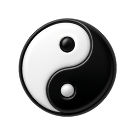 thái cực taiji