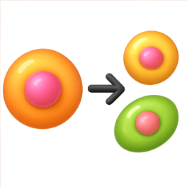 phân hóa to differentiate